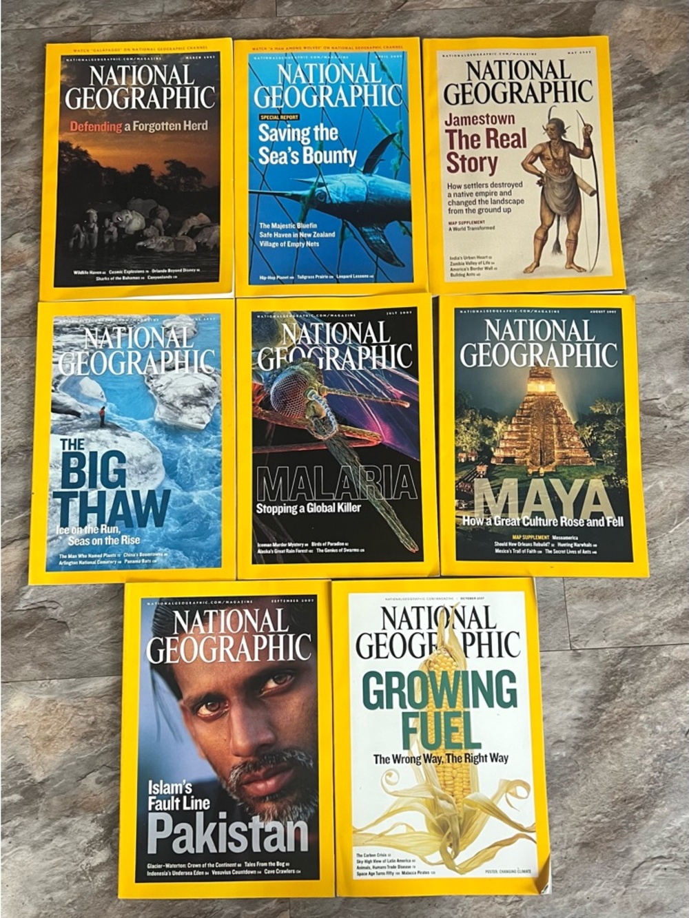 Lot of 8 2007 National Geographic Magazines Great Condition